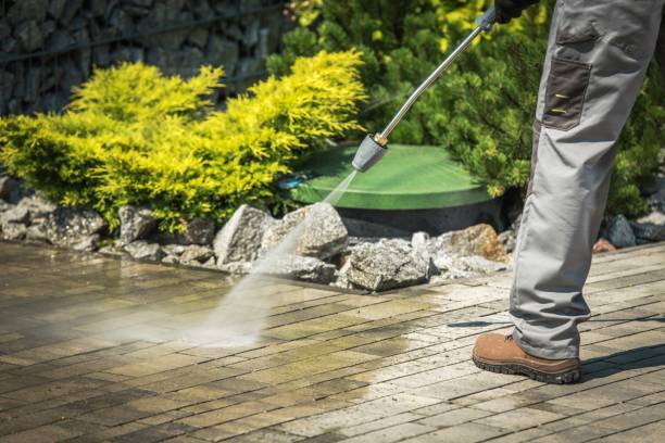  Encinal, TX Pressure Washing Pros