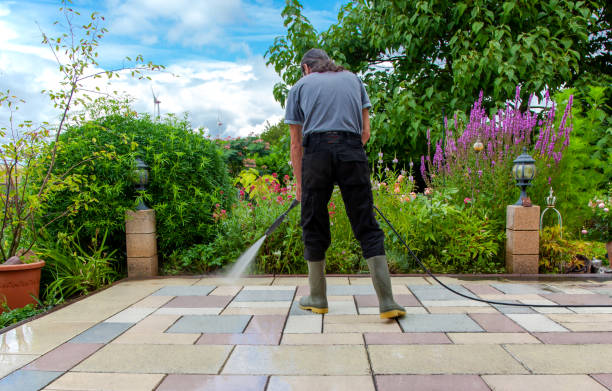 Best Brick and Stone Cleaning in Encinal, TX