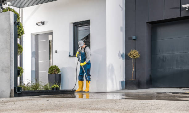 Best Vinyl Siding Pressure Washing in Encinal, TX